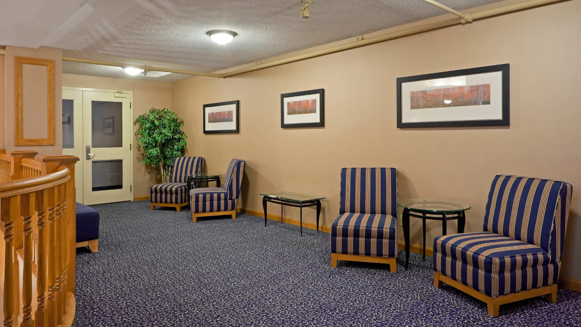 Holiday Inn Express Toronto East, An Ihg Hotel 2*,