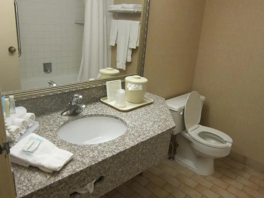 Holiday Inn Express Toronto East, An Ihg Hotel 2*,
